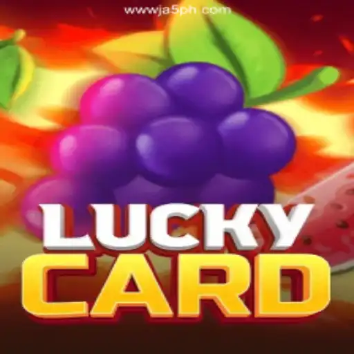 Exploring LuckyCard: The Newest Sensation in Online Gaming